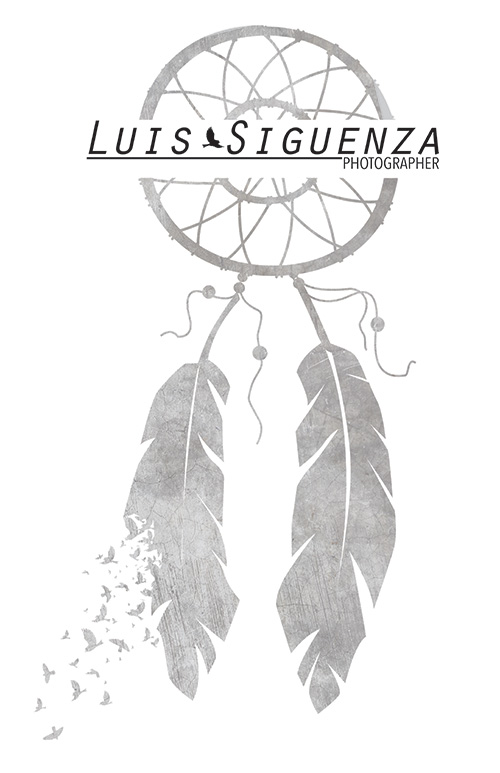 luis-siguenza-logo-full