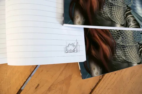 mermaid notebooks interior